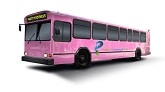 2 8 - Wichita Party Bus Rentals & Rates - Party Express Bus Rentals in Wichita, KS - Party Express Bus