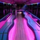7 1 - The Barbie Party Bus - Party Express Bus Rentals in Wichita, KS - Party Express Bus